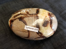 Load image into Gallery viewer, Septarian palm stone
