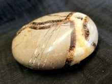 Load image into Gallery viewer, Septarian palm stone

