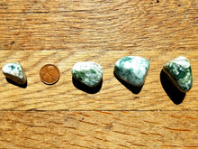 Load image into Gallery viewer, Tree agate (tumbled)
